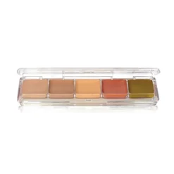Ben Nye Concealer & Adjuster Alcohol Palette