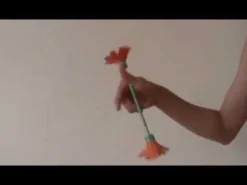 Bravo Fingerstick