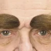 Brune Øyenbryn