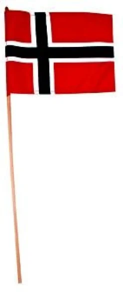 Flagg Norge 20 x 28 cm
