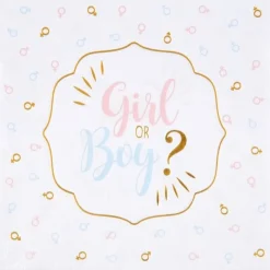 Girl or Boy? Servietter, 20 stk