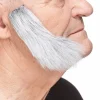 Grått Kinnskjegg