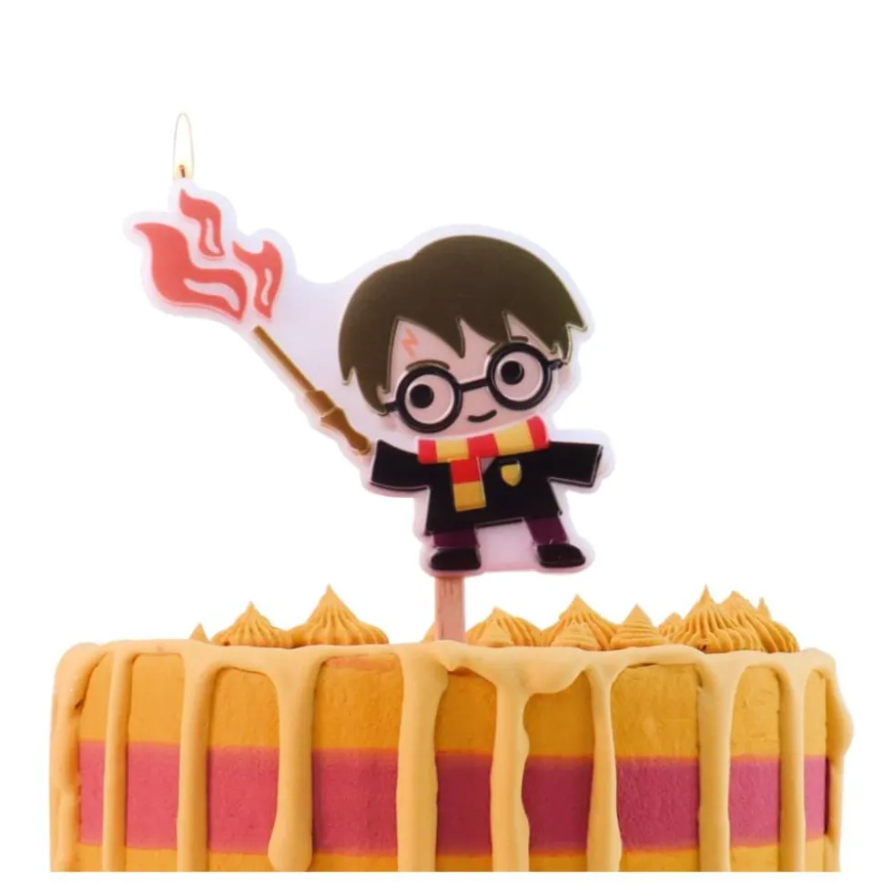 Harry Potter Kakelys, Harry Potter