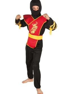Ninja Master kostyme