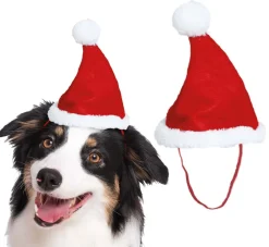 Nisselue til hund