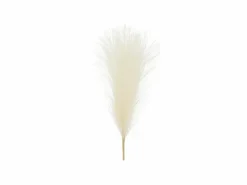 Pampas gress lys krem, 10x45
