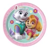 Paw Patrol Skye & Everest Asjetter 8 stk