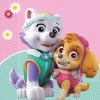 Paw Patrol Skye & Everest Servietter, 20 stk